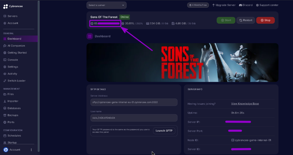 SOTF server ip highlighted with arrow