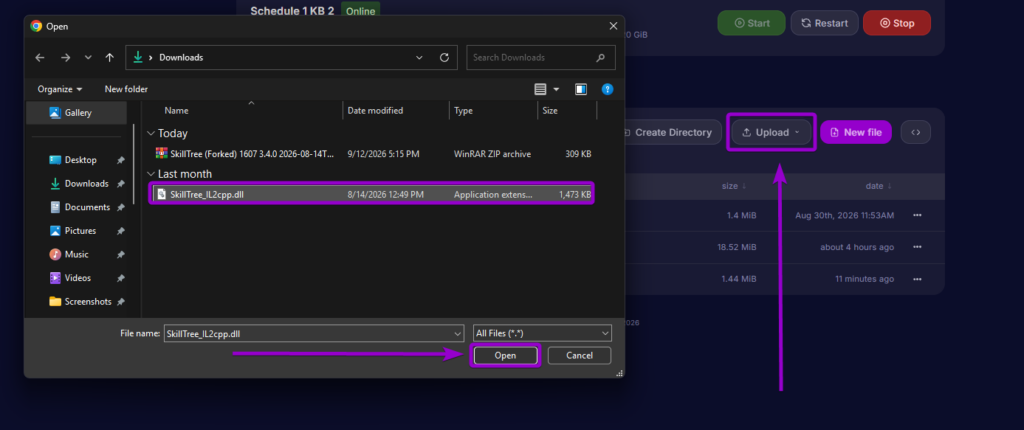 Uploading SkillTree_IL2cpp.dll into the server Mods directory using the control panel file manager