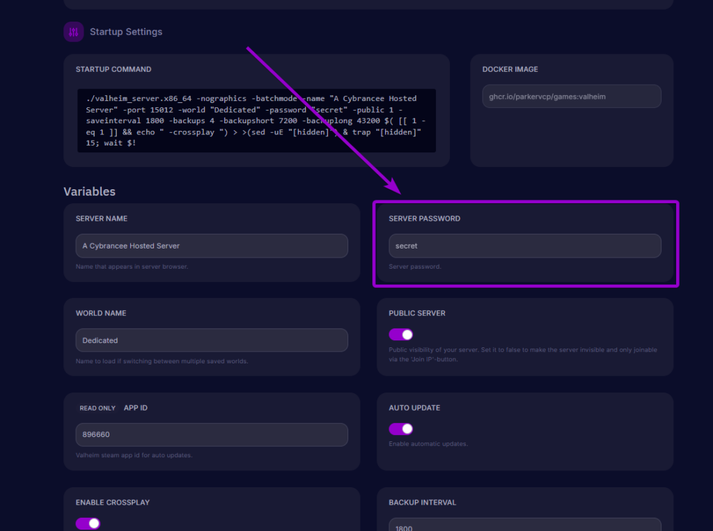Viewing the server password field in the control panel Startup Settings