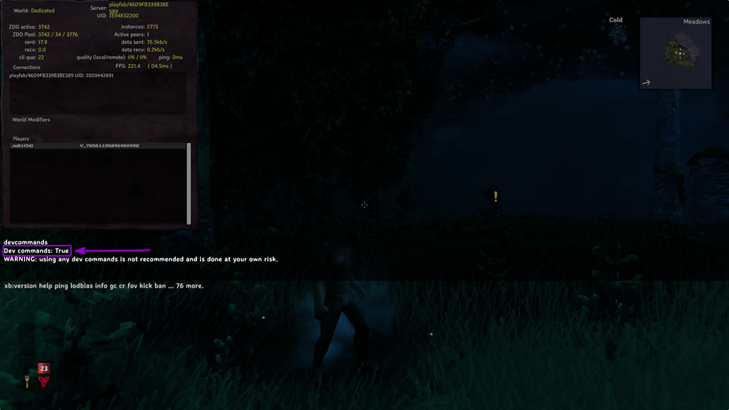 Checking if the Dev Commands was activated on the Valheim's Console Tab