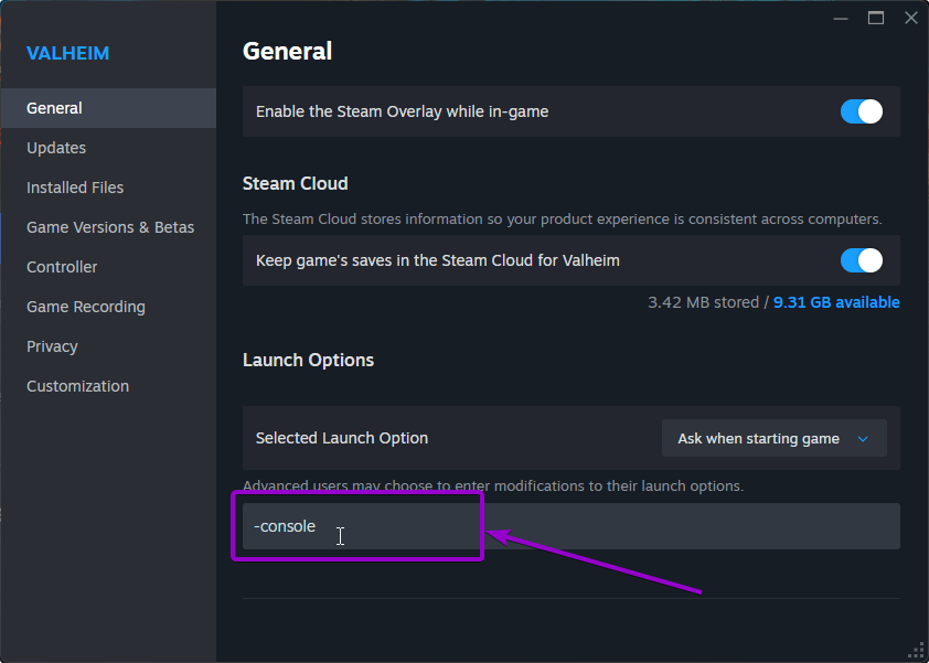 Click the Launch Options Input and type '-console' in the General Tab at the Steam Library App