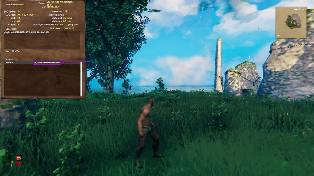 Copying the Player's ID on the Players Tab