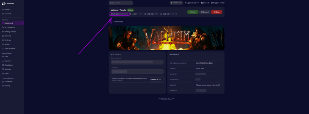 Locating and copying the server IP address and port from the Cybrancee control panel dashboard