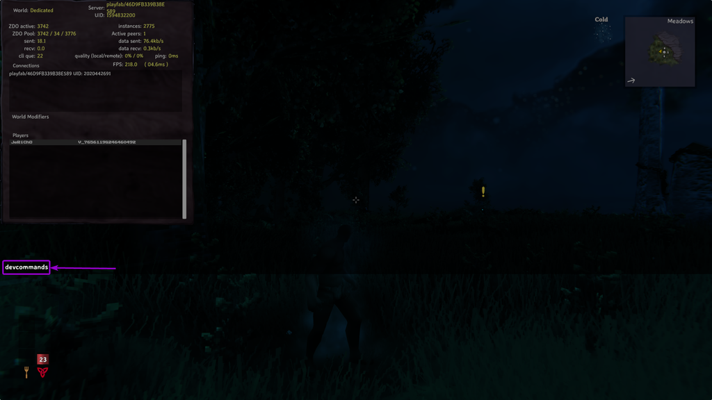 Typing 'devcommands' on the Valheim's Console Tab