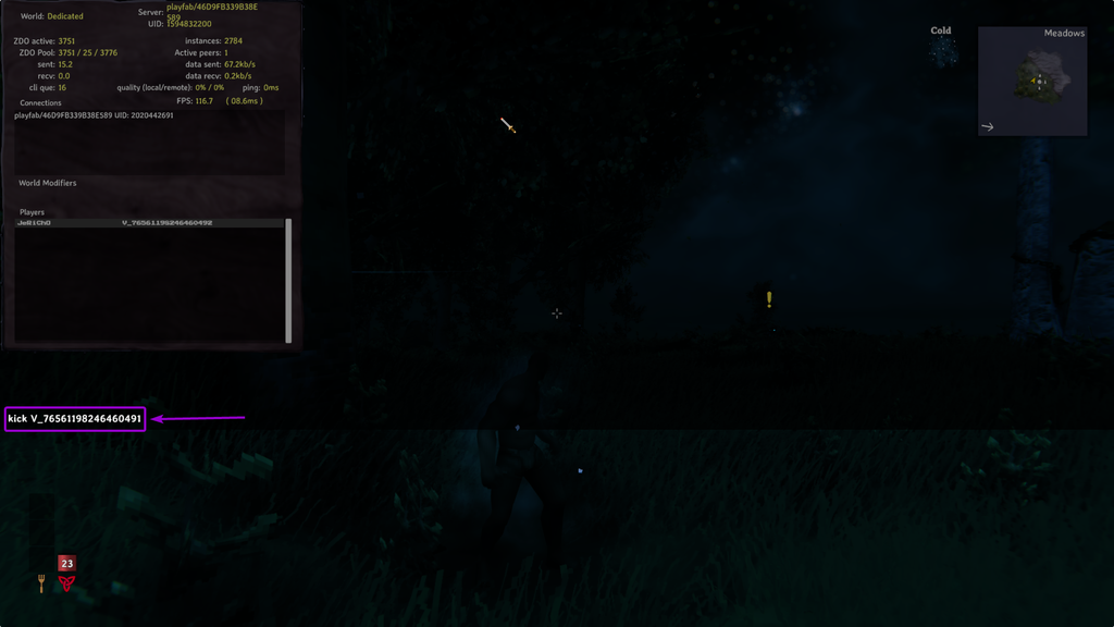 Typing kick with the Player's ID on Valheim's Console Tab to Kick the Player Out of the Server