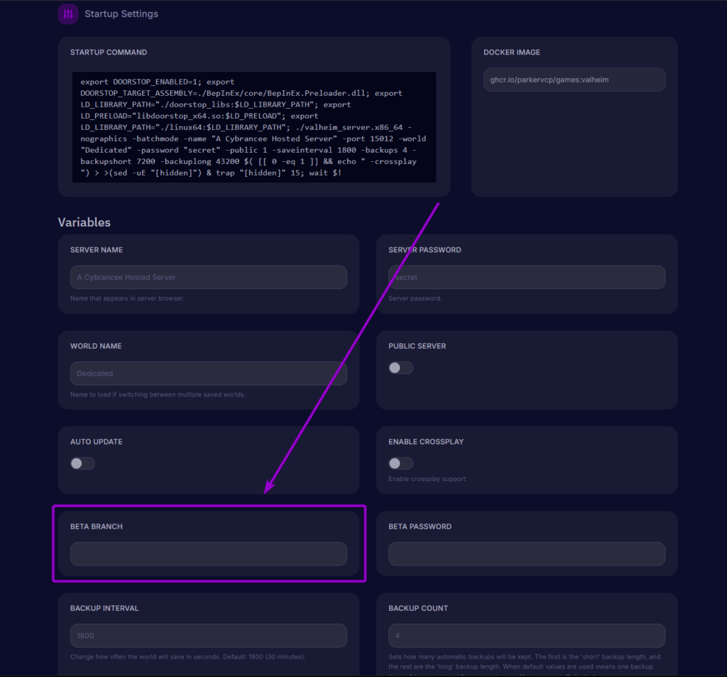 Locating the Beta Branch variable field inside Startup Settings in the server control panel
