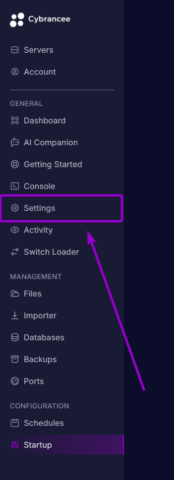 Selecting the Settings tab under the General section in the server panel sidebar
