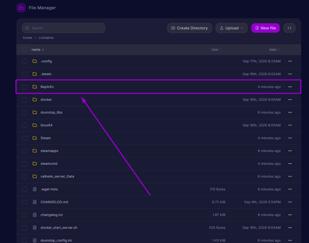 Navigating into the BepInEx directory in the server file manager