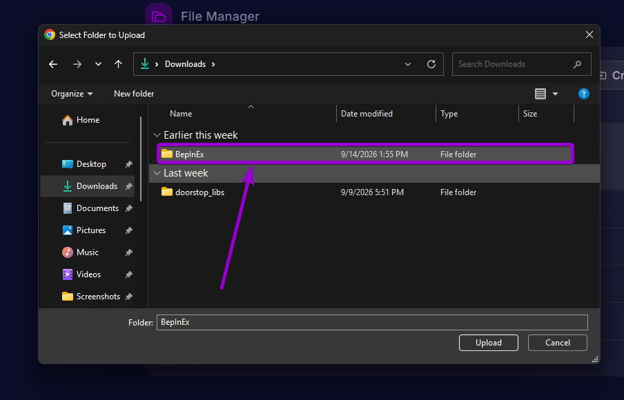 Selecting the BepInEx folder inside the dialogbox