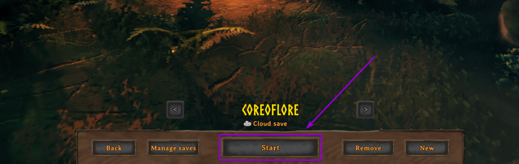 Selecting your player character and clicking the Start button in Valheim