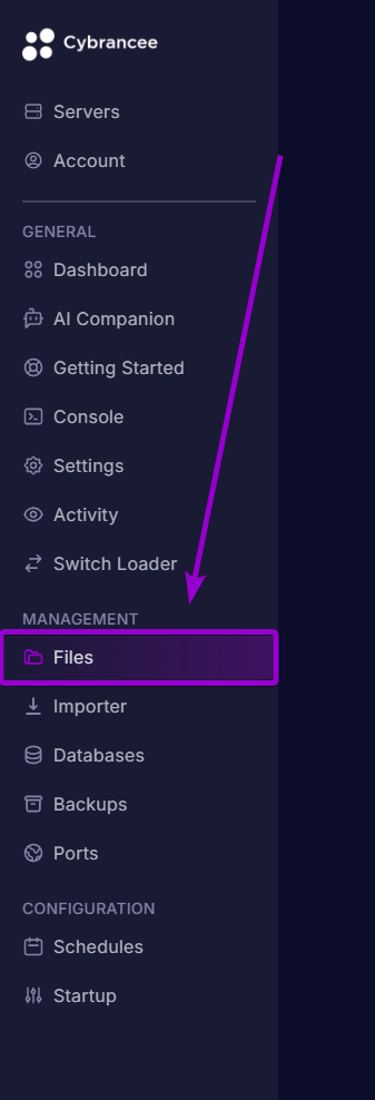 Selecting the Files tab under Management in the server panel sidebar menu