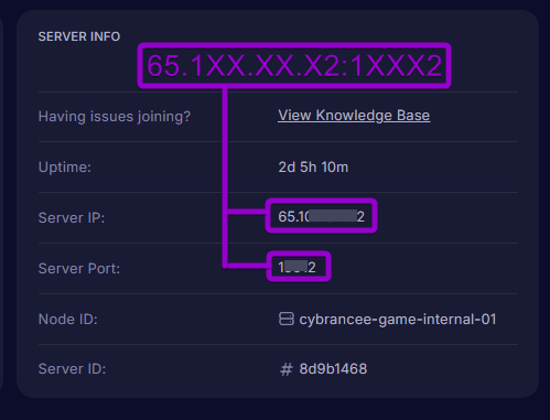 Viewing the server info box displaying the combined IP address and individual port breakdown in the panel