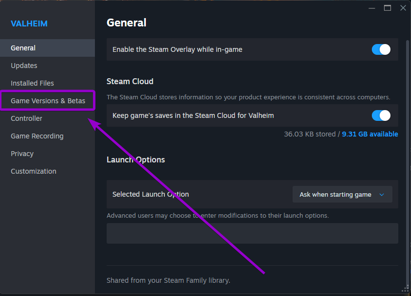 Clicking the Game Versions & Betas category in the Valheim Steam properties window
