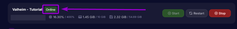 Verifying that the Valheim server displays a green Online status badge in the control panel header