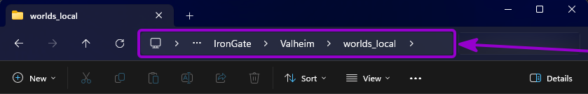 Valheim - 'worlds_local' folder path on PC outlined with arrow