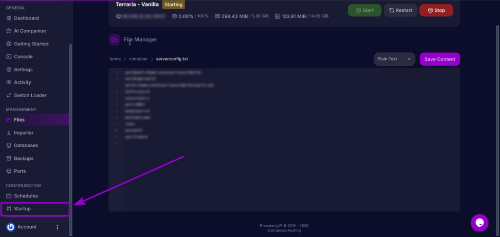 Verifying the Terraria Version field in the Startup settings tab.
