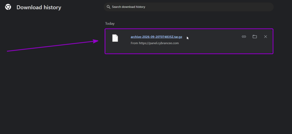 Vrising Archive Save File Download Verify