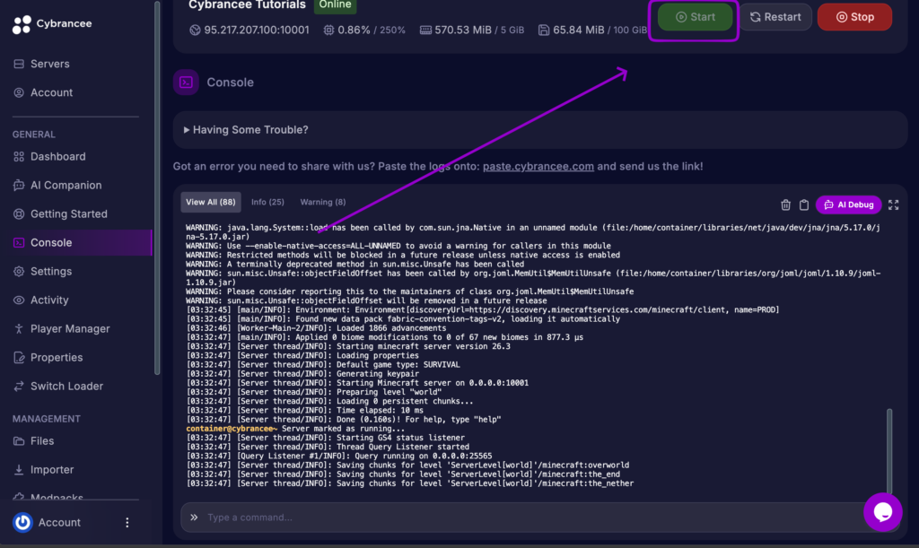 ybrancee Minecraft server console showing Fabric starting successfully with Fabric API installed