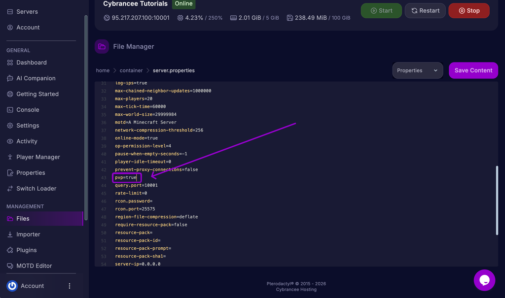 Minecraft server.properties pvp setting outlined in the Cybrancee Panel