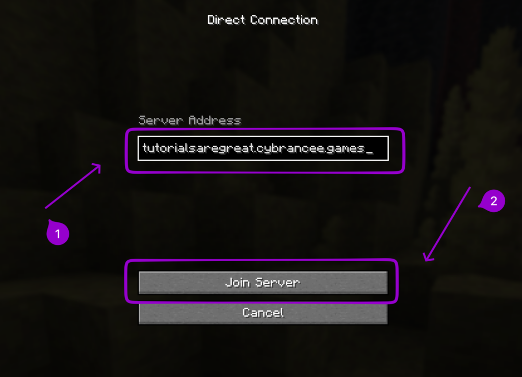 Connecting to the newly created subdomain inside Minecraft