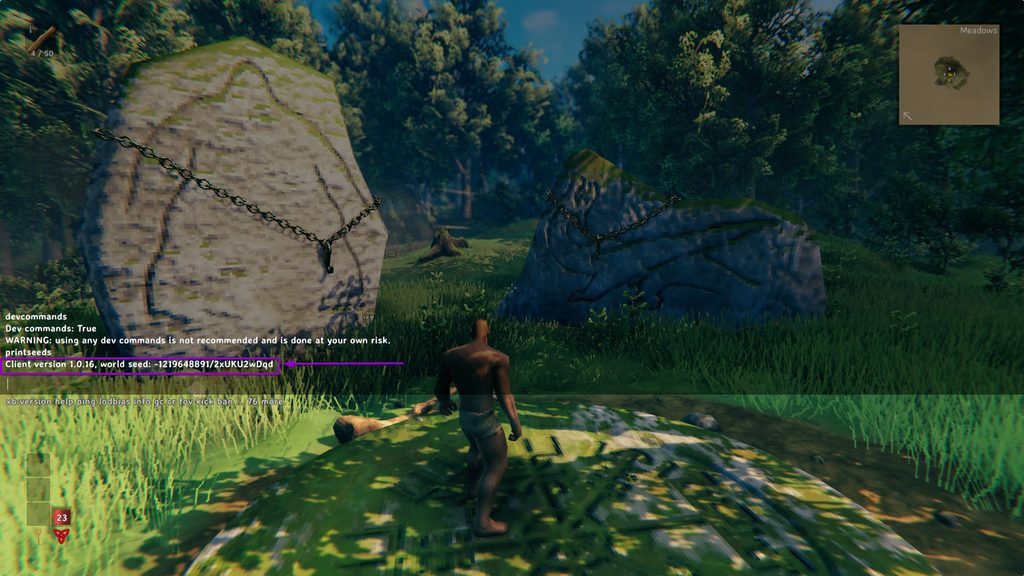 Input 'printseeds' on the console in the Valheim Game