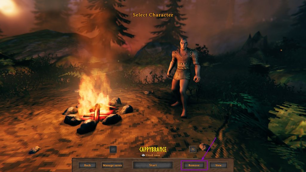 Select the Character in the Character Selection and Click Remove Button in Valheim
