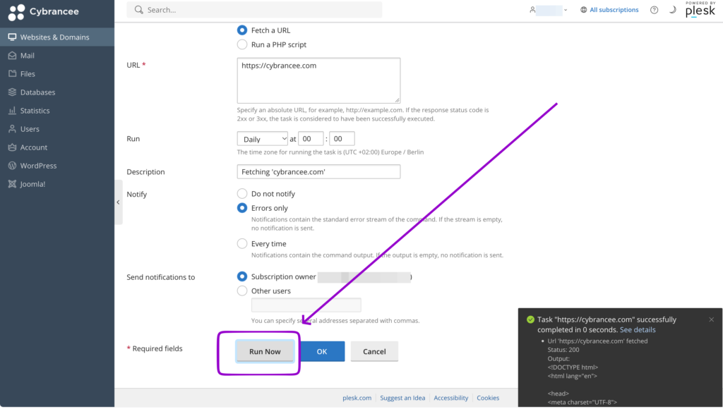 Cybrancee Plesk task form with the Run Now button outlined and indicated by an arrow.